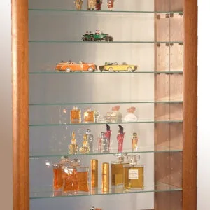 Vitrine pour Collection Verticale