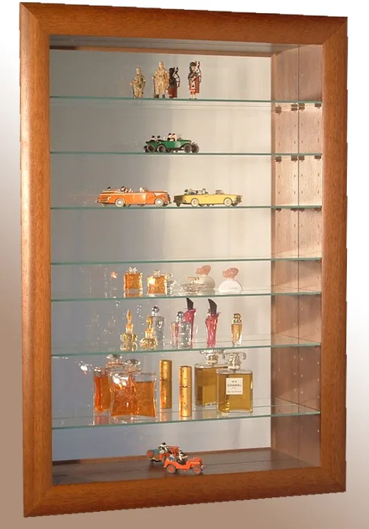 vitrine pour collection- Vitrine pour miniatures et figurines